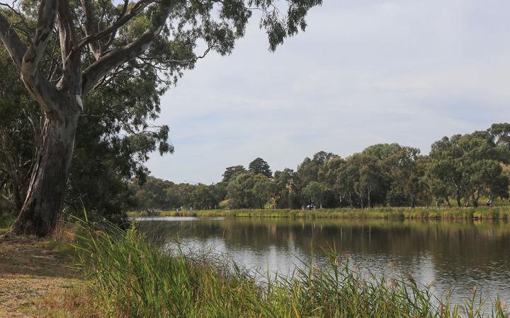 The Barwon River in Geelong